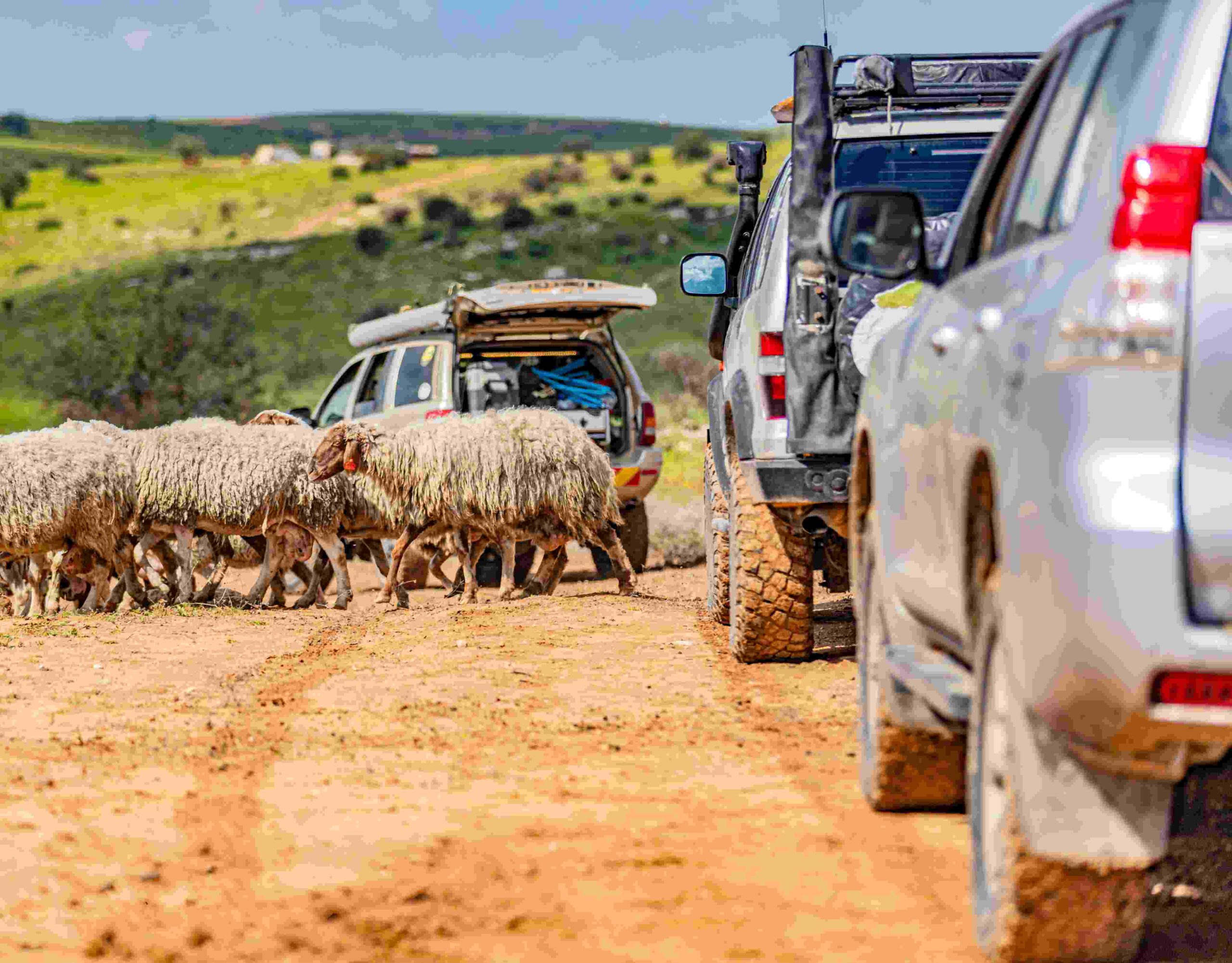 מדריך לג'יפאי המתחיל