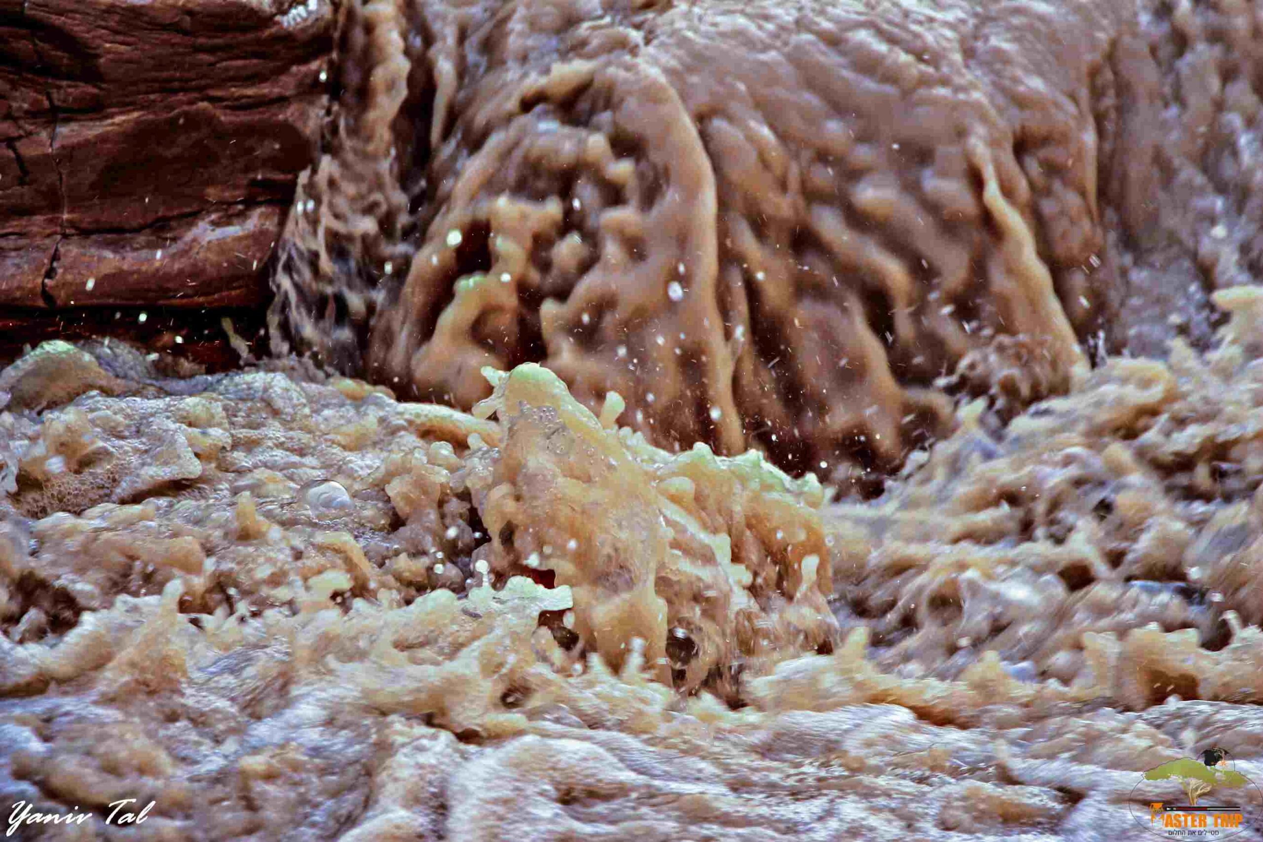 שיטפון במדבר טיול מאסטר ג'יפ