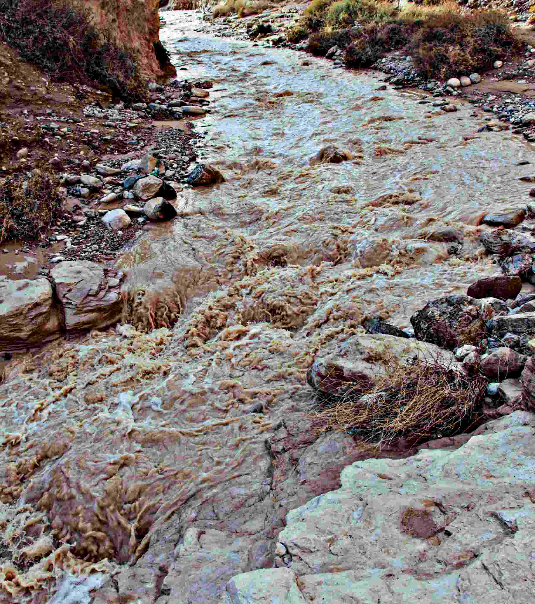 שיטפון במדבר מאסטר טריפ